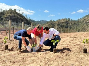 Image 1: Rodrigo Barbosa, President and CEO of Aura Minerals, joined by Andrea Saldanha Watson Ambassador of Brazil in Honduras, and Miguel Medina, Investment Promotion Minister of Honduras, to plant the first seedling for the Seeds of Hope Venture