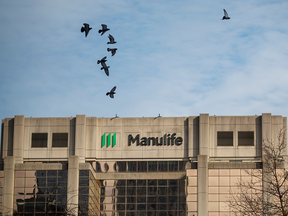 Birds fly above a Manulife Financial building