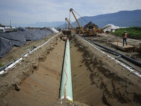 Workers lay pipe during construction of the Trans Mountain pipeline expansion on farmland, in Abbotsford, B.C.