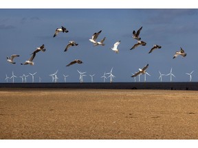 Offshore wind turbines in the UK.