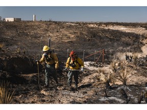 Fire crews work to extinguish hot spots following the Smokehouse Creek Fire in Fritch, Texas on March 1.