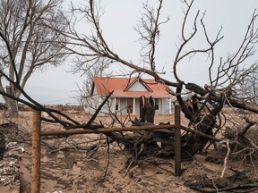 The charred remains of a tree in front of a home that survived the Smokehouse Creek Fire in Miami, Texas, US, on Sunday, March 3, 2024. The Smokehouse Creek fire in Texas is the largest in the state's history and has consumed more than 1 million acres (405,000 hectares), according to Texas A&M Forest Service with dry gusts up to 50 miles per hour sweeping across Texas and the Plains through Sunday.