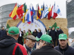 Farmers gather Tuesday, March 12, 2024 outside the European Parliament in Strasbourg, eastern France. For several months, farmers throughout Europe have been mobilizing to address local, national, and European concerns