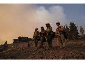 Firefighters wait before performing a controlled burn as a preventative measure in Kirkwood, California.