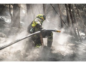 A firefighter sprays water during a wildfire on El Cable Hill near Bogota, Colombia, on Saturday, Jan. 27, 2024 during a drought