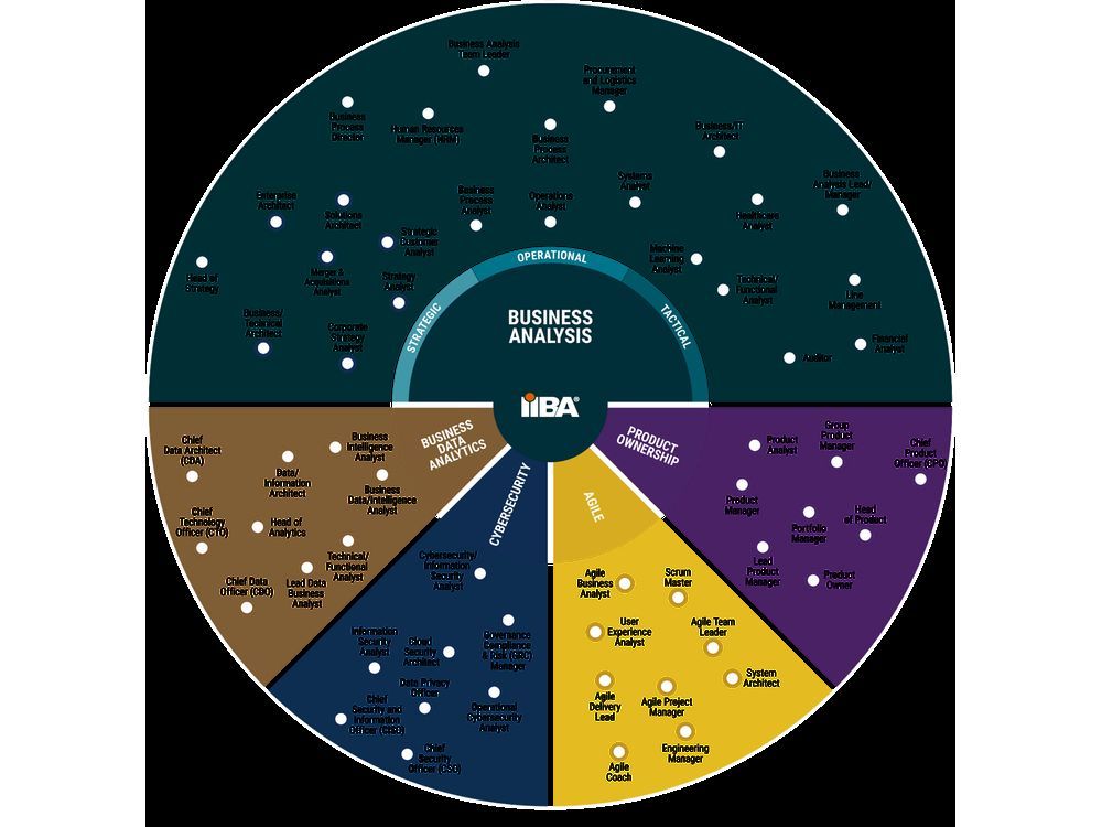 An Image showing a sample of the critical roles supported by business analysis with organizations