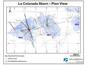 La Colorada Skarn Plan View