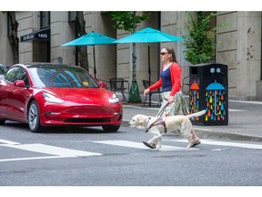A woman and her guide dog cross a busy street.