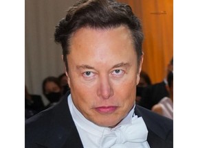 Elon Musk's Losing Understanding Of Consumer Base & Retail Investors. Tesla Still In Need Of Market Correction: McWhorter Foundation's Highlights.