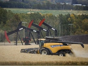 The Reid family harvest their wheat crop as pumpjacks draw oil from well heads near Cremona, Alta., Tuesday, Sept. 19, 2023. Canada is the world's sixth-largest producer and one of the largest exporters of wheat, annually producing an average of over 25 million tonnes and exporting around 15 million tonnes.