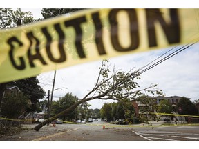A fallen tree rests on a power line in the College Point neighborhood of the Queens borough in New York, U.S., on Friday, Aug. 7, 2020. More than 1.2 million homes and businesses from New York to Delaware are still without power after Tropical Storm Isaias battered the region.