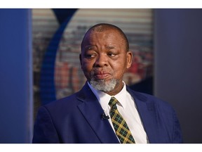Gwede Mantashe, South Africa's mineral resources and energy minister.