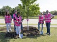 Trees planted at Railroad Park directly impact Lewisville communities by providing important ecosystem benefits in the Trinity River watershed.