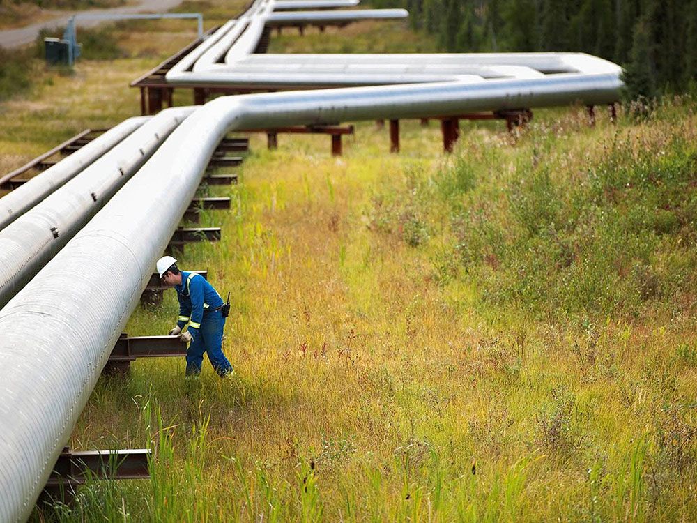 Cenovus says Trans Mountain likely Canada's last pipeline | Financial Post