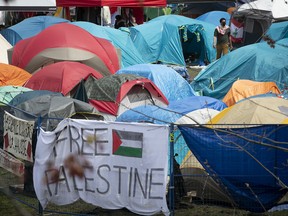 Pro-Palestinian demonstrators have set up camp at McGill University.
