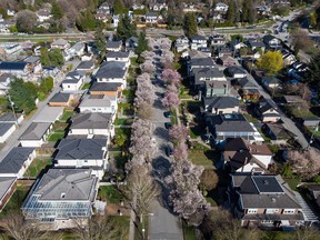 A residential street in Vancouver, B.C.