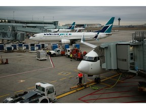 WestJet planes at Toronto Pearson International Airport in Toronto, Ontario.