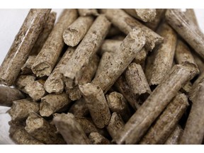 PT Arezou Eneri Pratama wood pellets in a glass container at Biomass Expo in Tokyo, Japan, on Wednesday, Feb. 28, 2024. Smart Energy Week exhibition will continue through March 1.