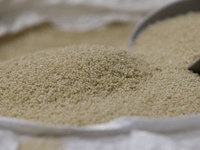 Pelet pupuk dipajang di fasilitas pemulihan nutrisi di Pusat Pengelolaan Limbah Edmonton. Fosfor, terkadang disebut fosfat, dapat dikombinasikan dengan kalium untuk meningkatkan produktivitas pangan dan ketahanan pangan.