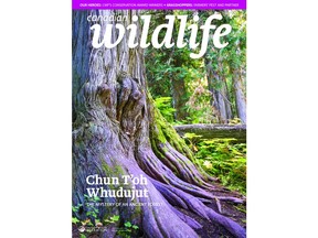 Recipients of the CWF Canadian Conservation Achievement Awards are featured in the July/August issue of Canadian Wildlife and Biosphère magazines available on newsstands and by subscription.