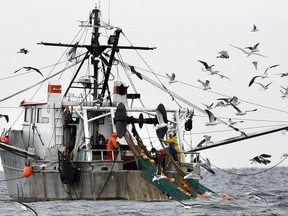 FILE- Gulls follow a commercial fishing boat as crewmen haul in their catch in the Gulf of Maine, in this Jan. 17, 2012 file photo. TExecutive branch agencies will likely have more difficulty regulating the environment, public health, workplace safety and other issues under a far-reaching decision by the Supreme Court. The court's 6-3 ruling on Friday overturned a 1984 decision colloquially known as Chevron that has instructed lower courts to defer to federal agencies when laws passed by Congress are not crystal clear.