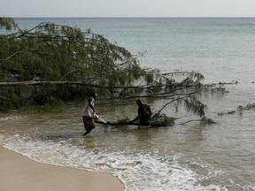 Workers cut down trees caused by Hurricane Beryl in St James, Barbados, Tuesday, July 2, 2024.
