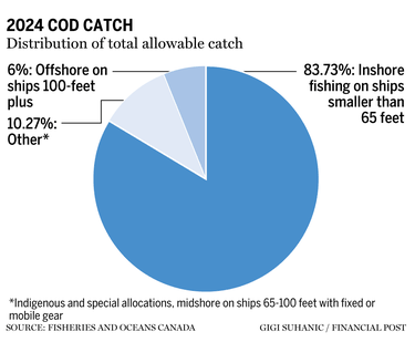 Newfoundland cod fishing makes comeback, but not everyone's happy ...