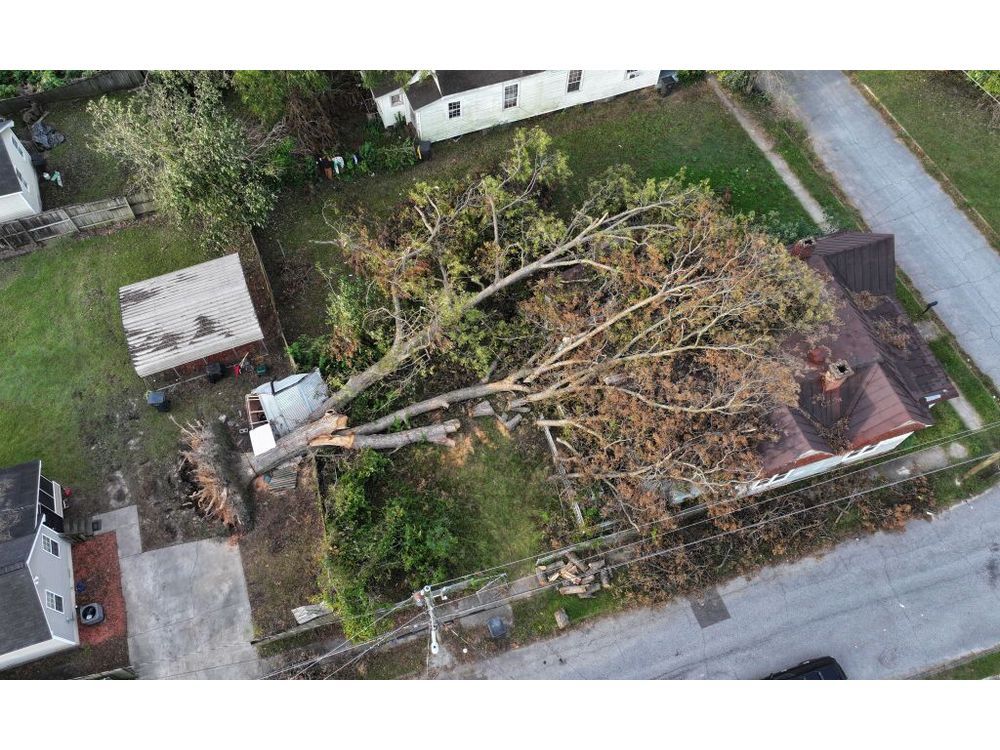 A tree lays on top of a house as the area recovers from Helene, in Augusta, Georgia.