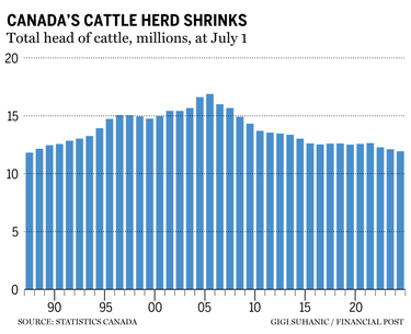 Cattle herd chart