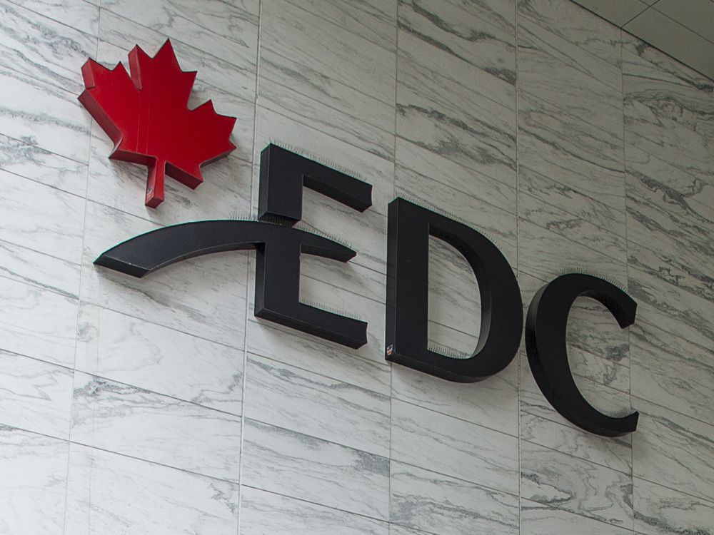 https://smartcdn.gprod.postmedia.digital/financialpost/wp-content/uploads/2024/12/1224-mg-edcceo.jpg