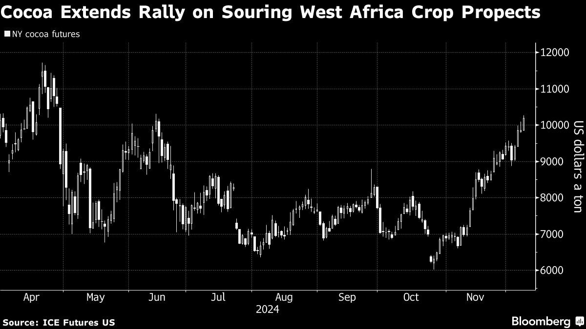 Cocoa hits 7-month high on West Africa crop prospects souring