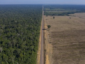 FILE - Jalan raya BR-163 membentang antara Hutan Nasional Tapajos, kiri, dan ladang kedelai di Belterra, negara bagian Para, Brasil, pada 25 November 2019.