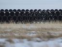 Pipes for the Keystone XL pipeline stacked in a yard near Oyen, Alberta, Canada, on Jan. 26, 2021.