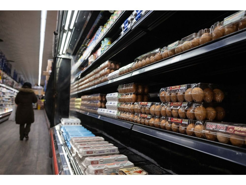 Karton telur di toko kelontong di New York pada 12 Februari. Fotografer: Yuki Iwamura/Bloomberg