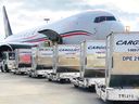 Cargojet sees some opportunities to expand its freight business if tariffs hit Canada's economy.