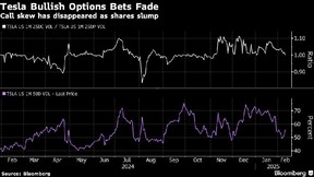 Tesla Bullish Options Bets Fade | Panggilan condong telah menghilang saat saham merosot