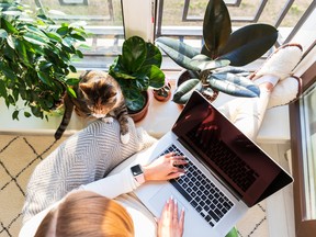 Non seulement il y a moins de distractions et de perturbations qu'un espace de bureau partagé, mais les employés éloignés et hybrides ont indiqué qu'ils indiquent qu'ils sont moins stés, prennent moins de jours de maladie et de la valeur sauvegardée de ne pas avoir à se déplacer.