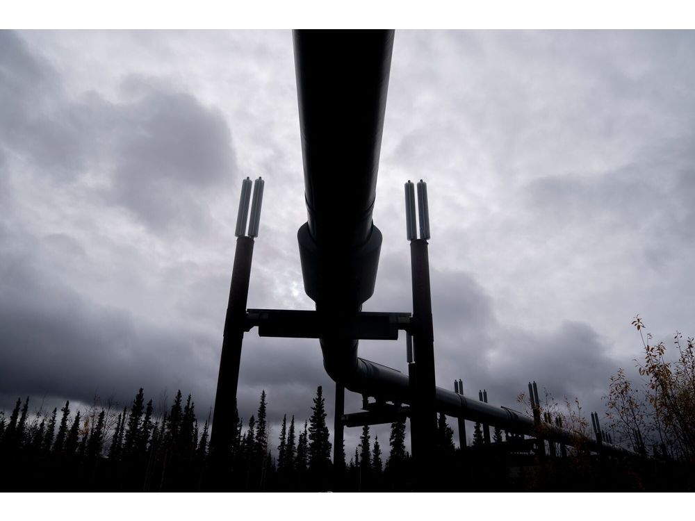 Pipa Trans-Alaska di sepanjang Dalton Highway di Stevens Village, Alaska, AS, pada hari Kamis, 19 September 2024. Komisi Pengatur Energi Federal pekan lalu membela metodologi yang digunakan dalam menentukan nilai berbagai jenis tarif yang mendasari minyak mentah untuk perusahaan bahan bakar fosil menggunakan sistem pipa Trans Alaska. Fotografer: Stefani Reynolds/Bloomberg