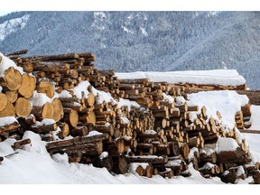 Tumpukan batang kayu mentah di Downie Timber dan Selkirk Cedar Ltd. Lumber Yard di Revelstoke, British Columbia, Kanada, pada hari Senin, 3 Februari 2025. Kanada adalah pemasok kayu asing terbesar ke AS, yang memperhitungkan sebanyak 30% pasokan.