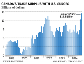 January 2025 trade surplus chart