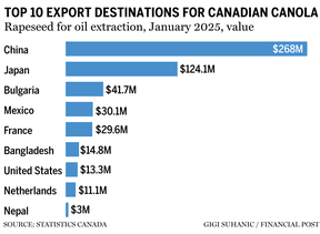 Canada canola exports chart
