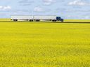Analysts speculate that tariffs on value-added canola could lead to an increase in demand for canola seed. While tariffs on canola seed are still a possibility, they said Canadian supplies would not be easy to replace.