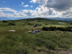 Inti bor golden orang asing