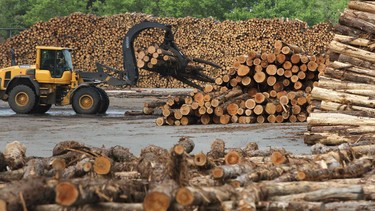 Lumber