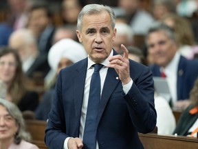 CEO Carney' to run Canada like a business | Financial Post
