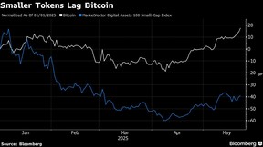 Smaller Tokens Lag Bitcoin
