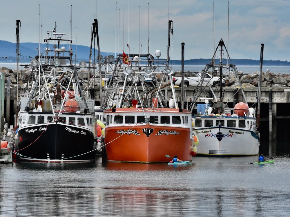 https://smartcdn.gprod.postmedia.digital/financialpost/wp-content/uploads/2025/06/0607-mg-fisheries.jpg