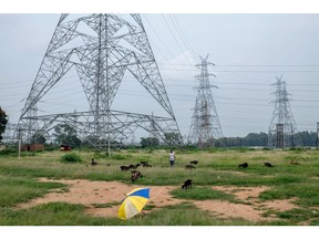 A goatherd with his flock near power transmission towers in Ranchi, Jharkand, India, on Thursday, Aug. 27, 2021. The Indian interest-rate panel's lower-for-longer stance to boost economic growth is creating an