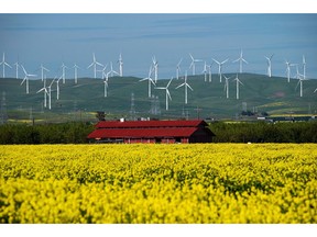 The Altamont Pass wind farm past mustard flowers outside Tracy, California, US, on Thursday, April 6, 2023. California Governor Gavin Newsom lifted many of the water-use restrictions he imposed during the state's punishing three-year drought, now that months of intense rains have refilled reservoirs and inundated farm fields.