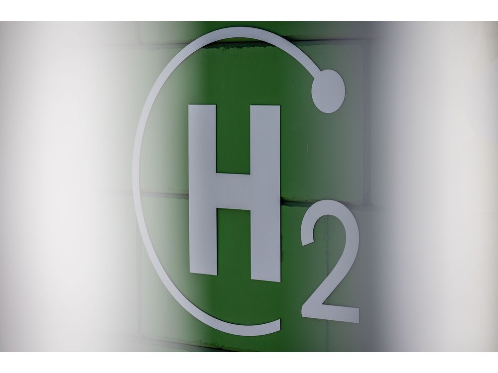 South Africa's PIC Leads $37 Million Pledge for Green-Hydrogen Fund